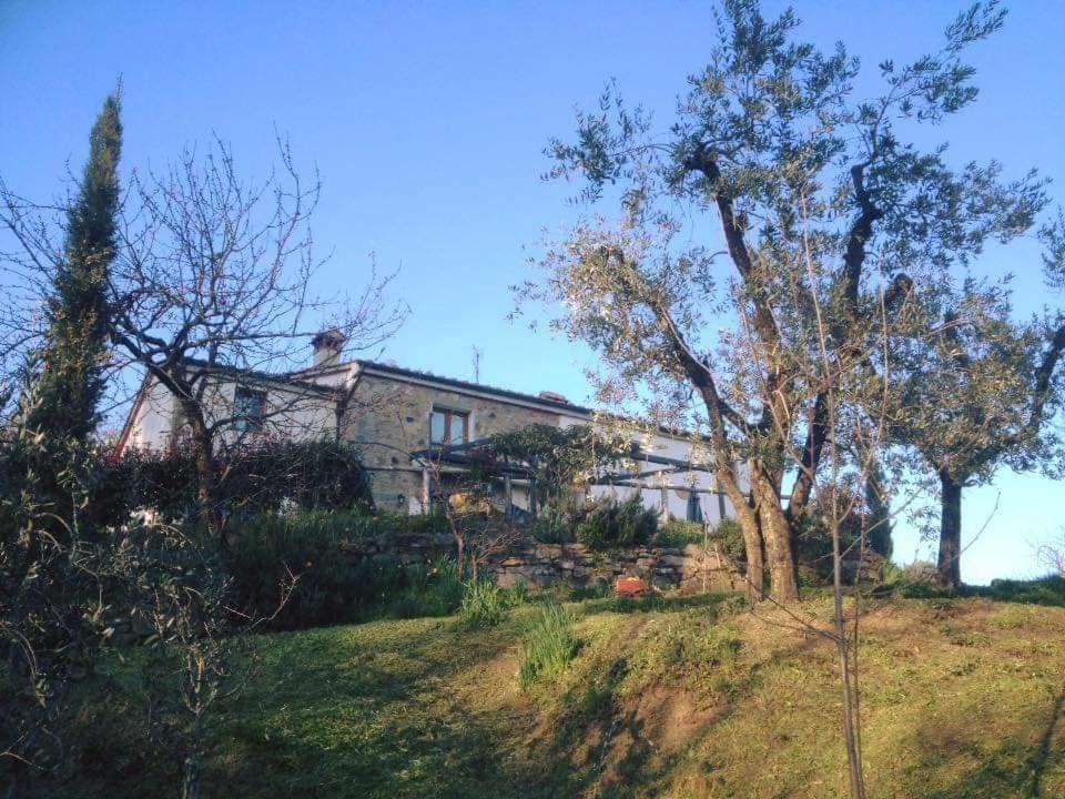 Agriturismo Menghino Nievole Экстерьер фото