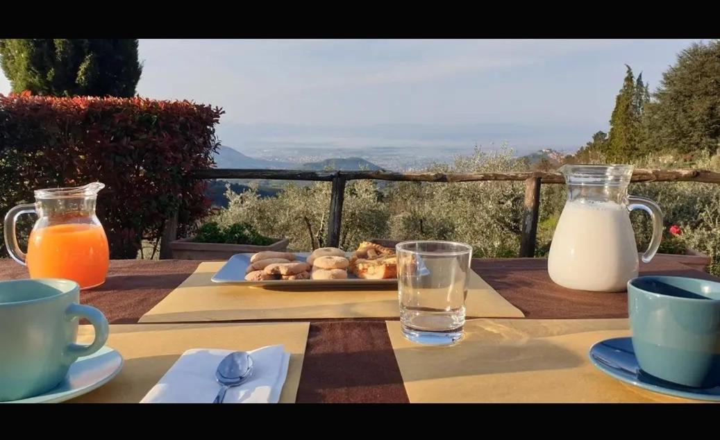 Agriturismo Menghino Nievole Экстерьер фото